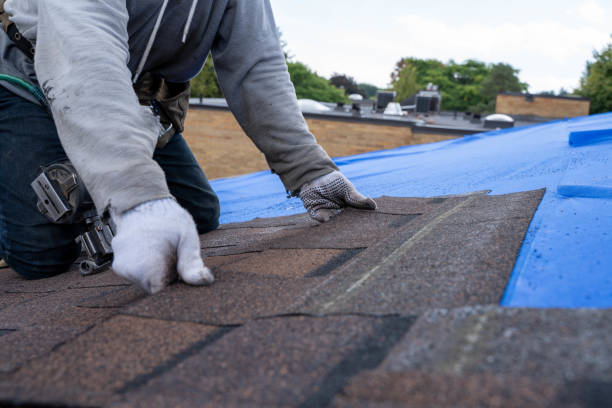 Best Roof Leak Repair  in Terra Alta, WV