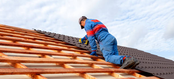 Best Roof Maintenance and Cleaning  in Terra Alta, WV